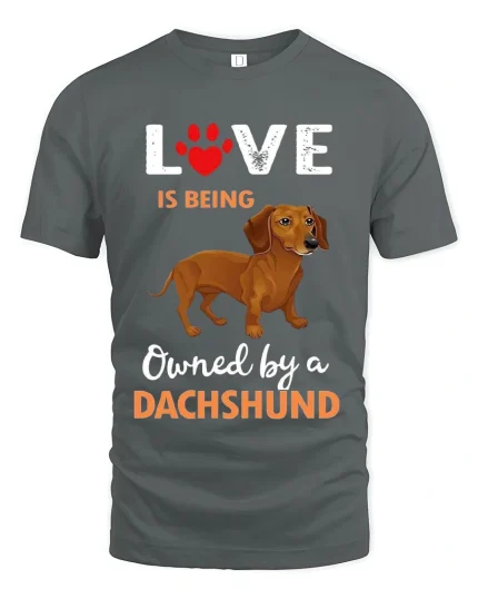 Love Is Being Owned By A Dachshund Funny Dog Lover Tshirt - gray t-shirt on white background