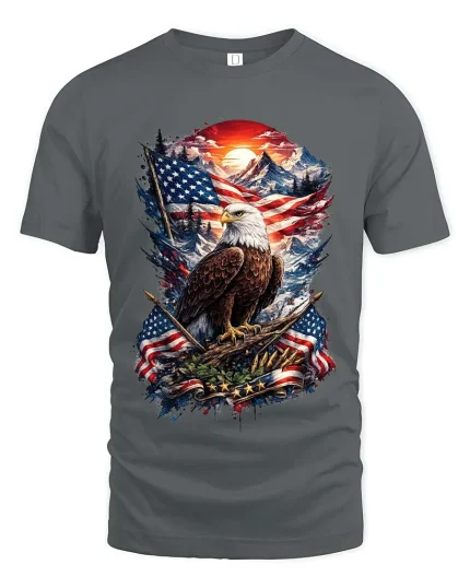 American Eagle Flag Patriotic Freedom Graphic T Shirt - gray t-shirt on white background